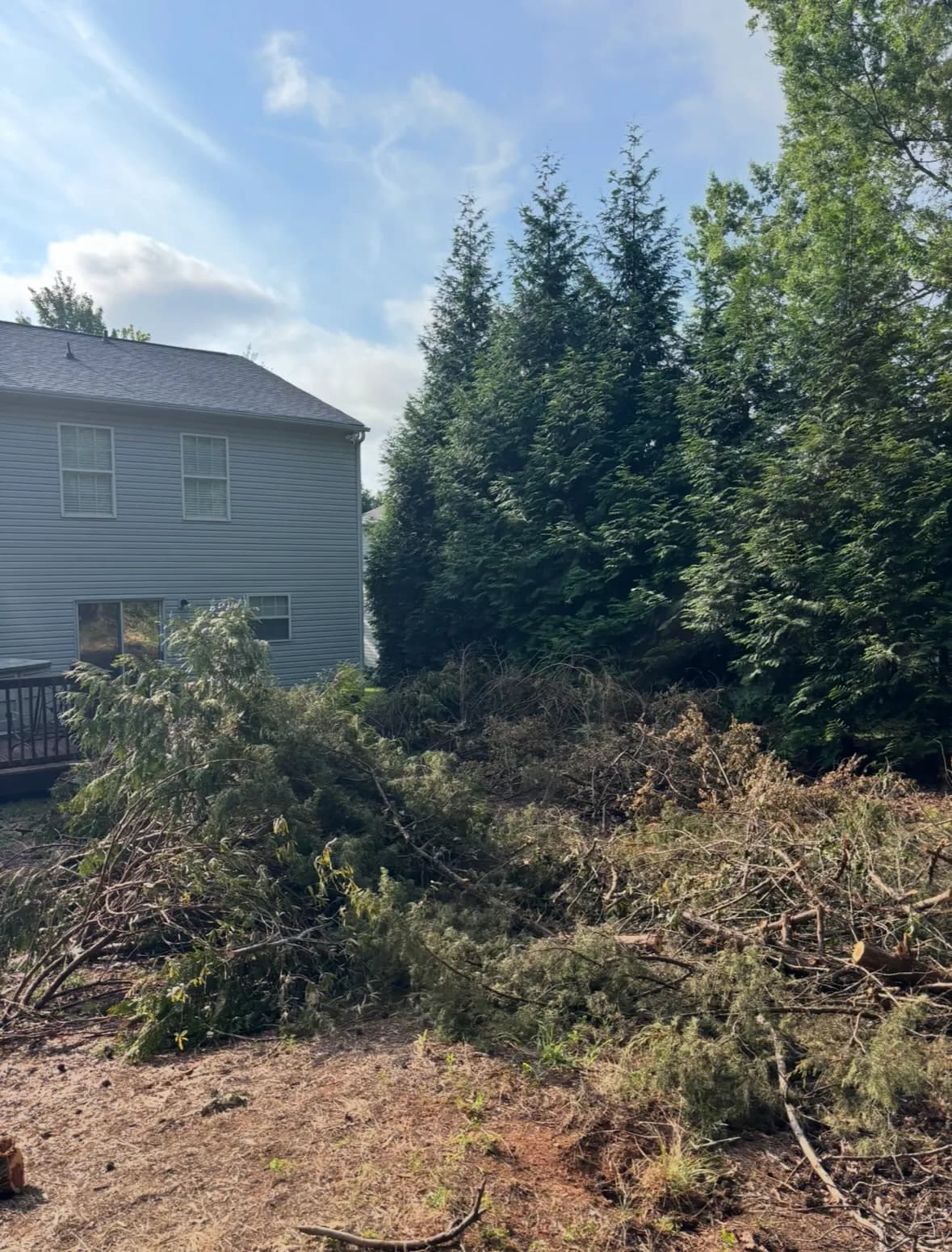 Recent yard debris removal job